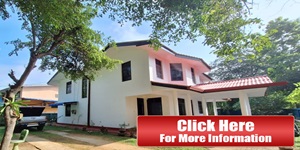 polonnaruwa new