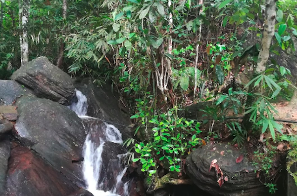 bathing_spot_at_kottawa_rainforest
