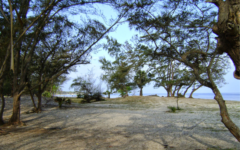 kasurina beach